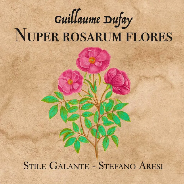 Nuper Rosarum Flores