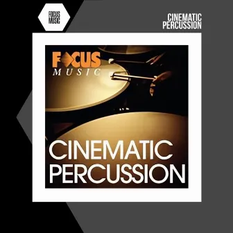 Cinematic Percussion by 