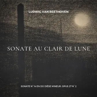 Beethoven: Sonate au Clair de Lune (Sonate in C-Sharp Minor, Op. 27, 2: I. Adagio sostenuto) by Pierre Henri Martinot