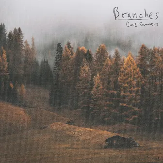 Branches by Curt Summers