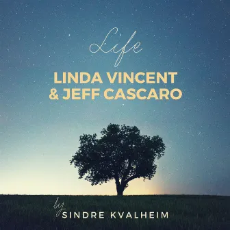 Life by Sindre Kvalheim