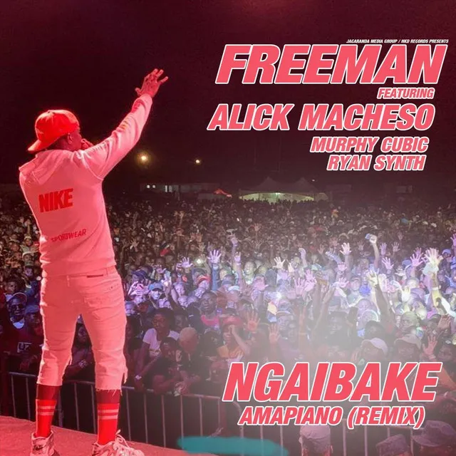 Ngaibake (Amapiano Remix)