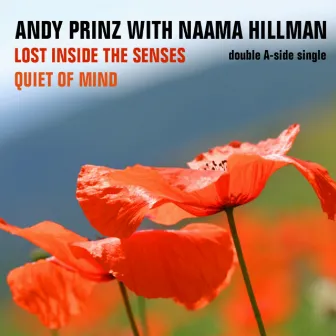 Lost Inside the Senses by Andy Prinz