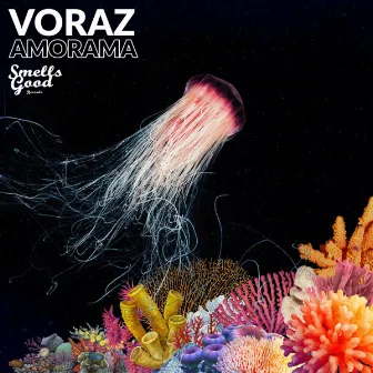 AMORAMA by Voraz