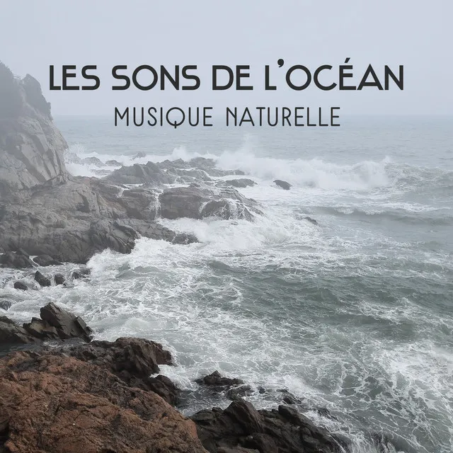 Calme vagues de l’océan