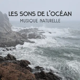 Les sons de l'océan - Musique naturelle pour se détendre, Raisons pour se méditation, Trouvez votre chemin by Océan Ambience Club