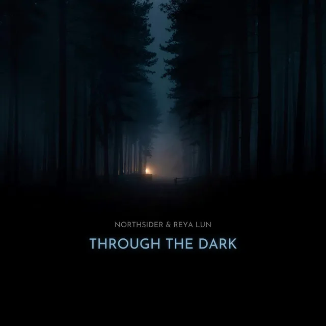 Through the Dark