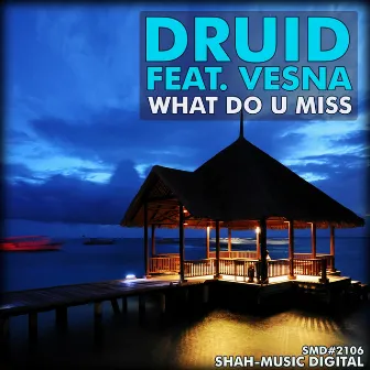 What Do U Miss (Featuring Vesna) by Druid