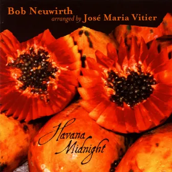 Havana Midnight by Bob Neuwirth