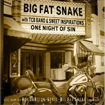 One Night Of Sin by Big Fat Snake