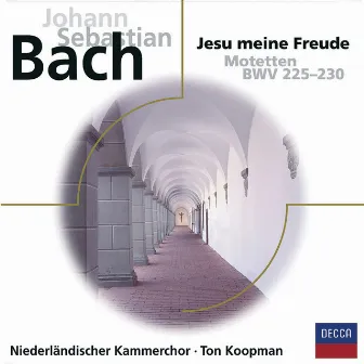 Bach Motetten BWV 225 - 230 by Ageet Zweistra