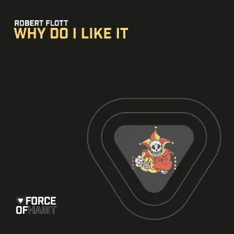 Why Do I Like It by Robert Flott