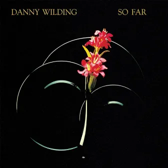 So Far by Danny Wilding