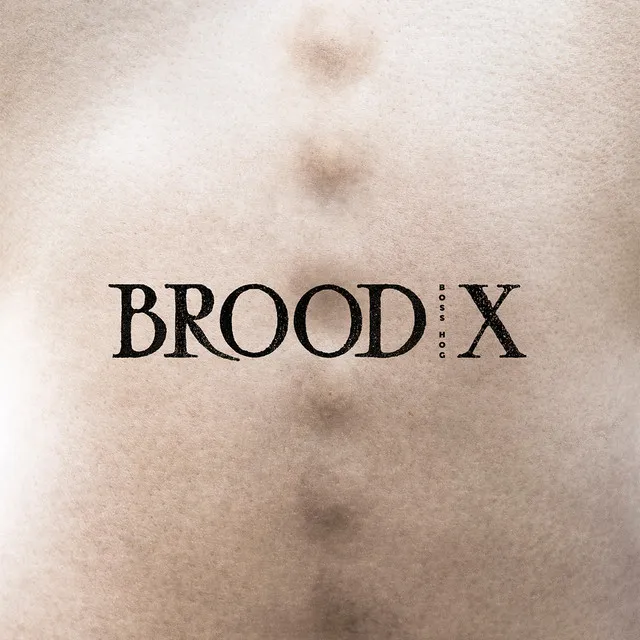 Brood X