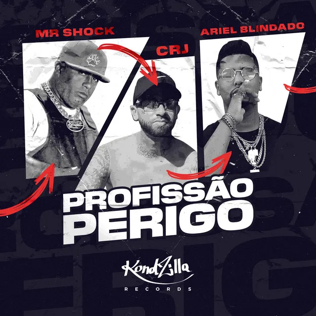 Profissão Perigo