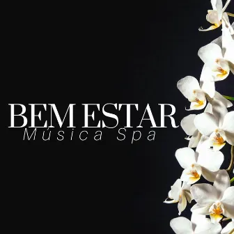 Bem Estar: Música Spa, Música Relaxante para Relaxamento e Meditação, Massagem & Sons Da Natureza by Fuerza Positiva