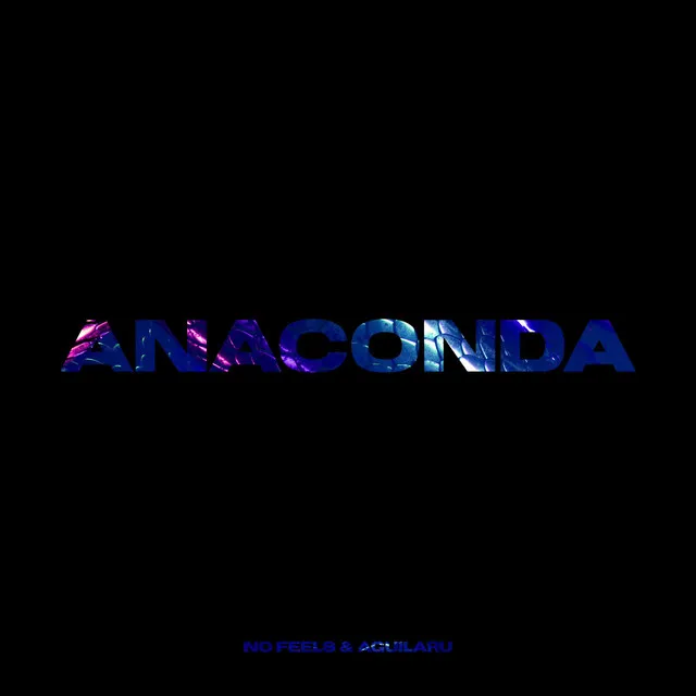 Anaconda