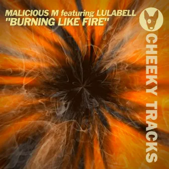 Burning Like Fire by Malicious M