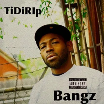 Da Bangz by TiDIRip