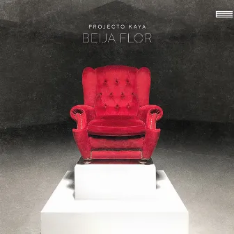 Beija Flor by Projecto Kaya