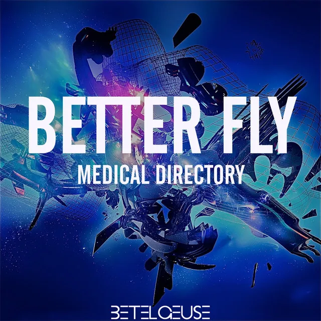 Better Fly - Radio Edit