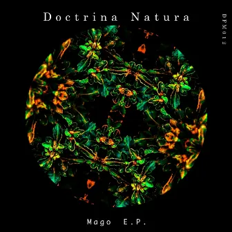 Mago by Doctrina Natura