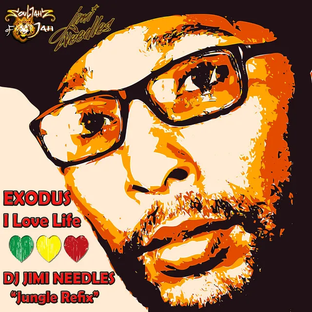 I Love Life - DJ Jimi Needles Jungle Refix