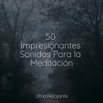 50 Impresionantes Sonidos Para la Meditación by Musica Meditaction