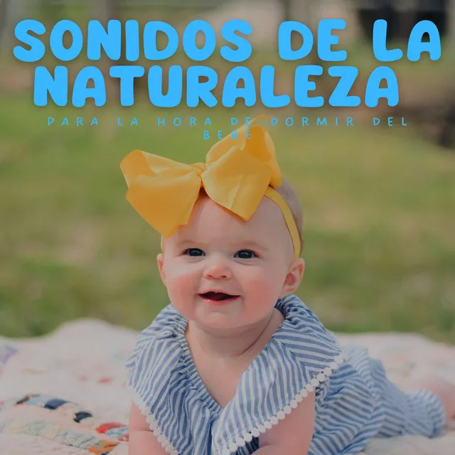 Sonidos De La Naturaleza Para La Hora De Dormir Del Bebé