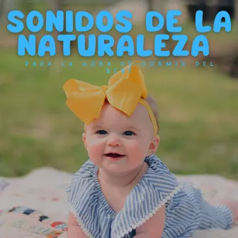 Sonidos De La Naturaleza Para La Hora De Dormir Del Bebé by Baby Lullaby Universo