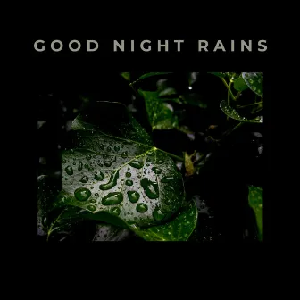 Good Night Rains by Samples QHD