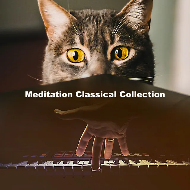 Meditation Classical Collection