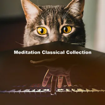 Meditation Classical Collection by Unknown Artist