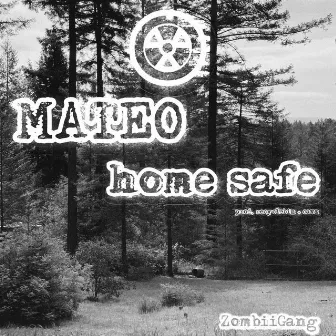 home safe by Mateo