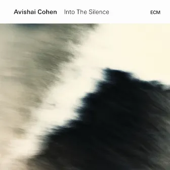 Into The Silence by Avishai Cohen