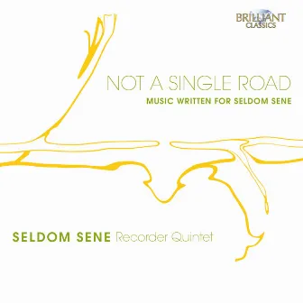 Not a Single Road by Seldom Sene