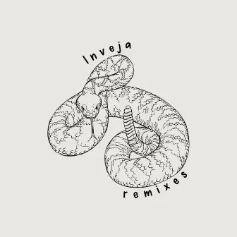 INVEJA (Remixes) by Reinaldo Charlex