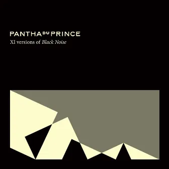 XI versions of Black Noise by Pantha Du Prince