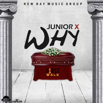 Why - Single by Junior X