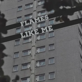 Like Me by Flames