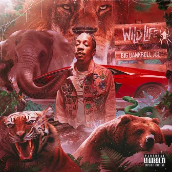 WILD LIFE by Big Bankroll Joe