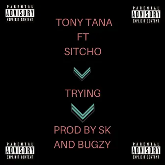 Trying by Tony Tana