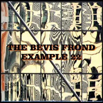 Example 22 by The Bevis Frond