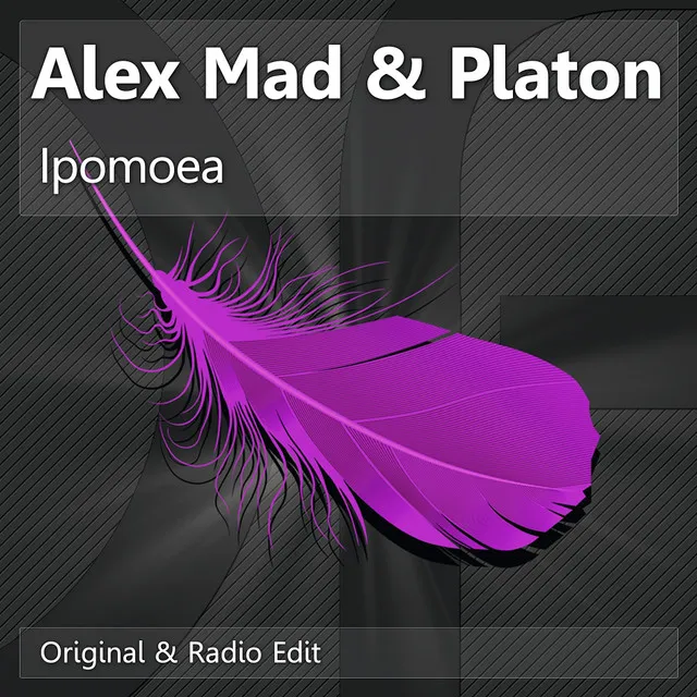 Ipomoea - Original Mix