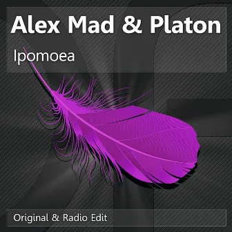 Ipomoea by Alex Mad