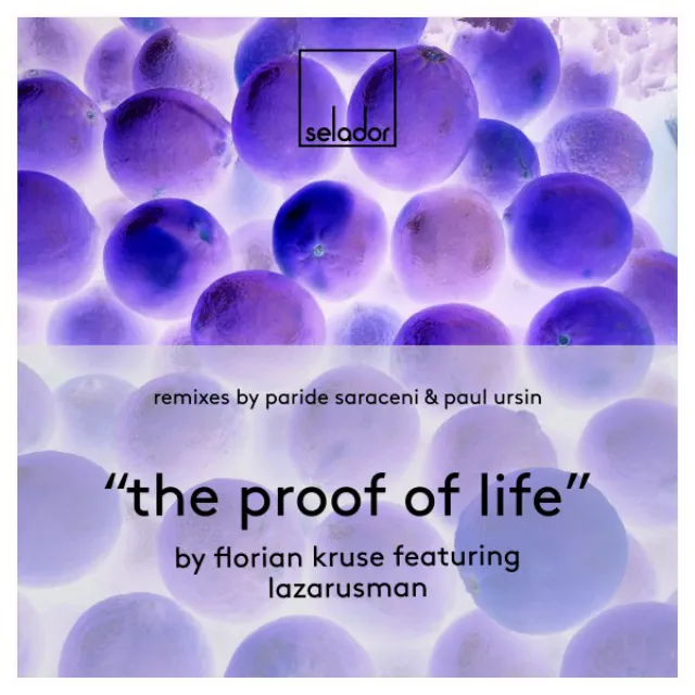 The Proof of Life - Paul Ursin Remix