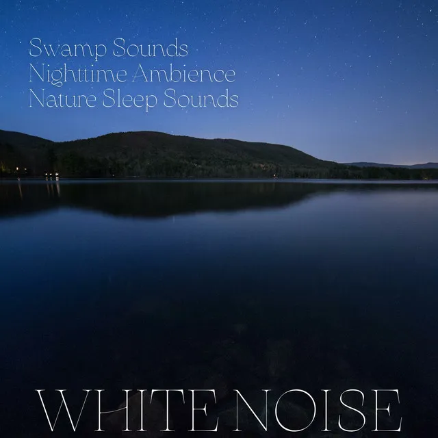 Swamp Sounds, Nighttime Ambience, Nature Sleep Sounds, White Noise, Loopable