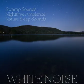 Swamp Sounds, Nighttime Ambience, Nature Sleep Sounds, White Noise, Loopable by Noise Colours