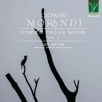 Giovanni Morandi: Complete Organ Works, vol. 3 by Giovanni Morandi