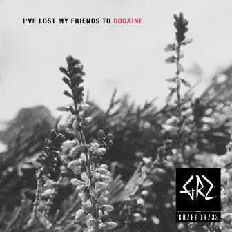 I've Lost My Friends To Cocaine by Grzegorz